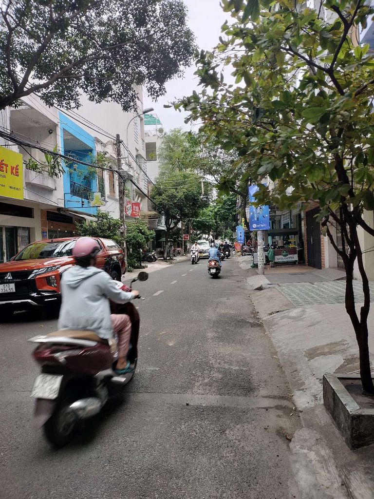 3783269 ảnh đại diện 1