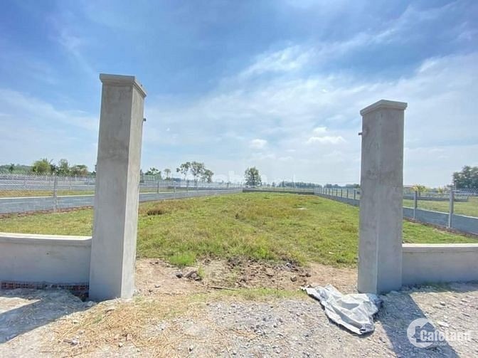 3782183 ảnh đại diện 1