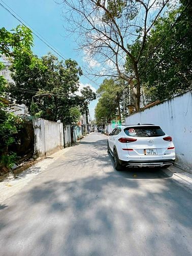 3783359 ảnh đại diện 1