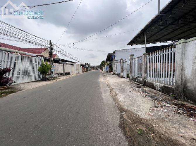 3787080 ảnh đại diện 2