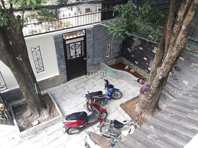3785546 ảnh đại diện 1