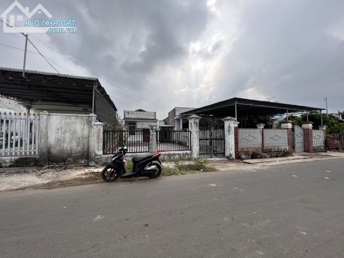 3787080 ảnh đại diện 1