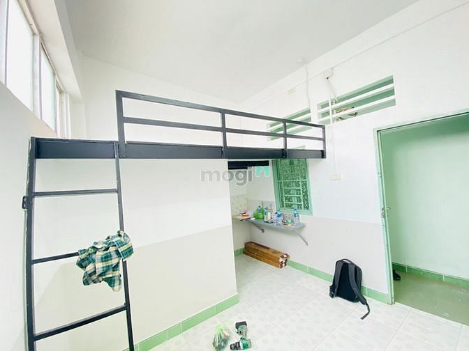 3786501 ảnh đại diện 1
