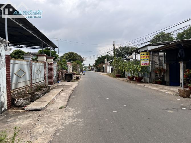 3787080 ảnh đại diện 1