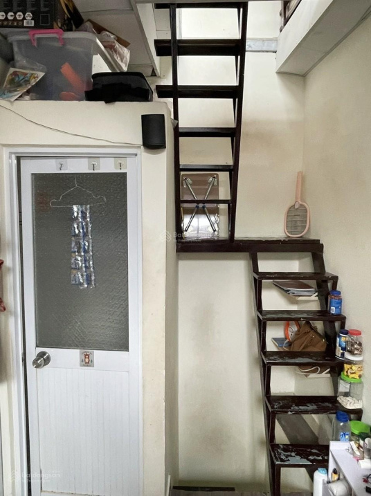 3788663 ảnh đại diện 2