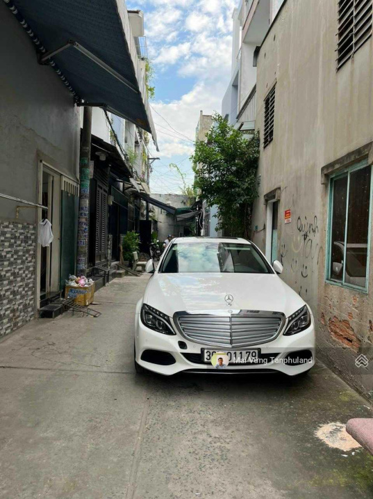3795405 ảnh đại diện 2