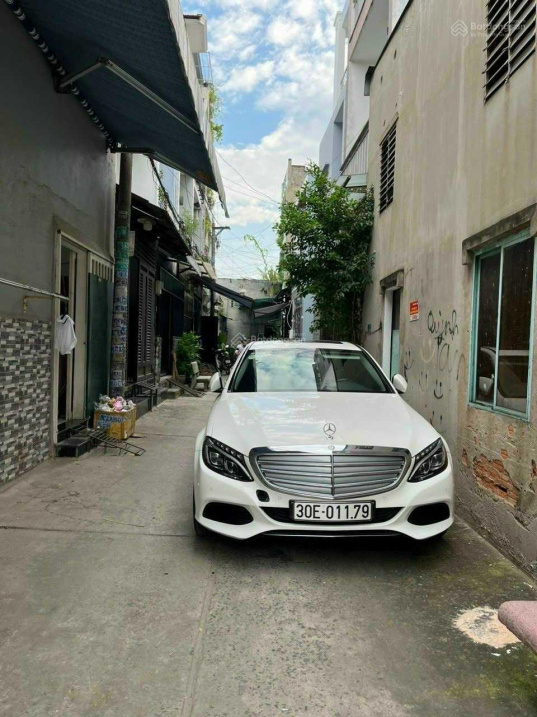 3795411 ảnh đại diện 1