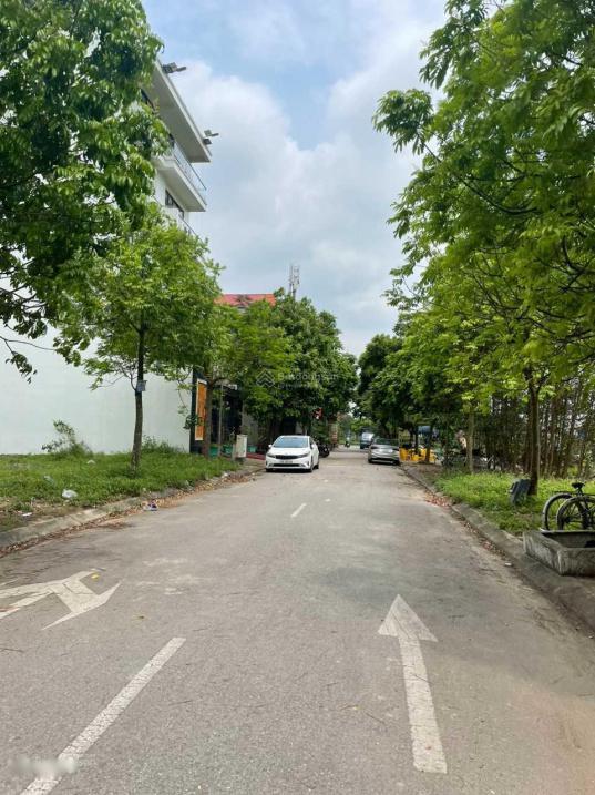 3795177 ảnh đại diện 2