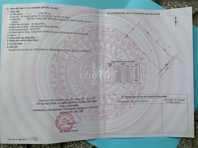 3793191 ảnh đại diện 2