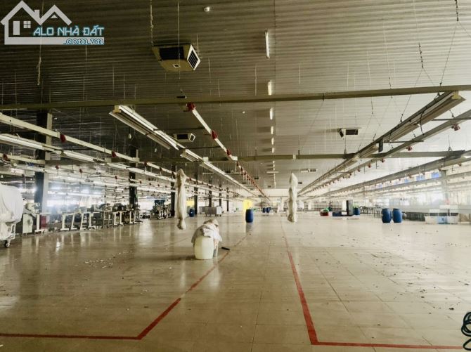 3793026 ảnh đại diện 1
