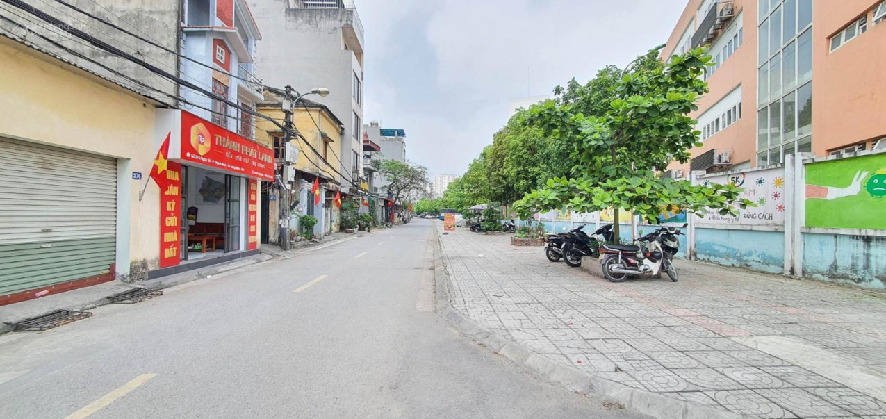 3796561 ảnh đại diện 2