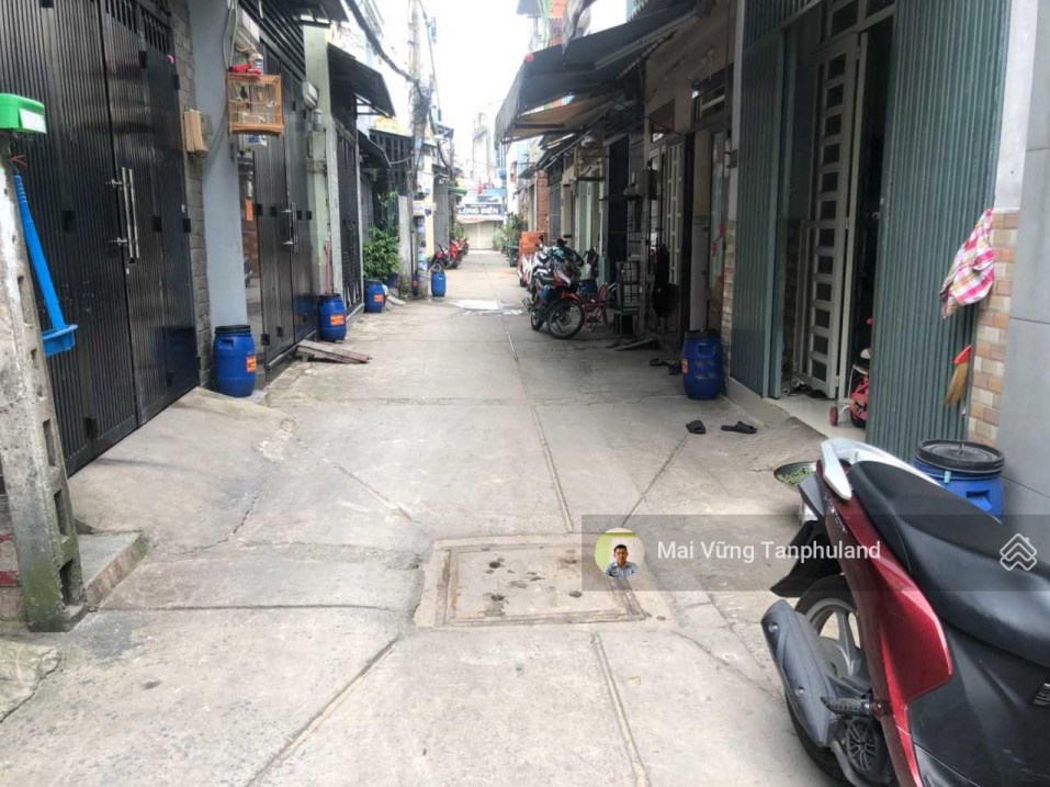 3795405 ảnh đại diện 1
