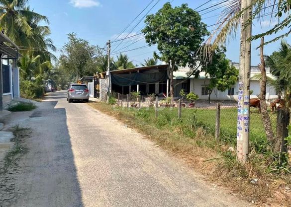 3793191 ảnh đại diện 1