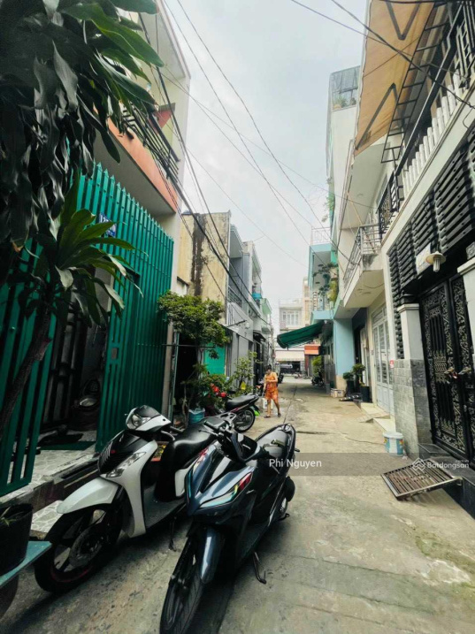 3795407 ảnh đại diện 1