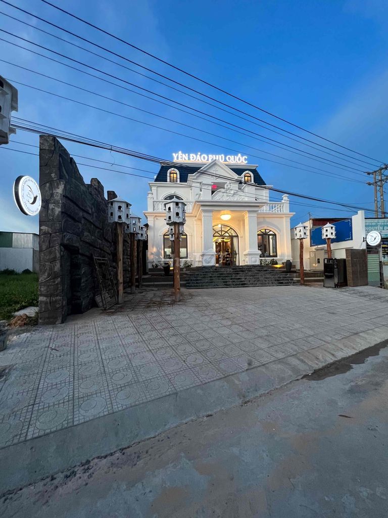 3797793 ảnh đại diện 1
