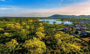 3799428 ảnh đại diện 1