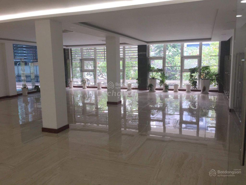 3803427 ảnh đại diện 1