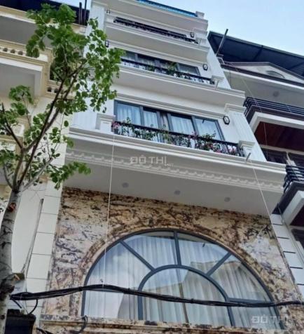 3802350 ảnh đại diện 1