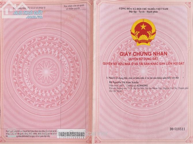 3800606 ảnh đại diện 1