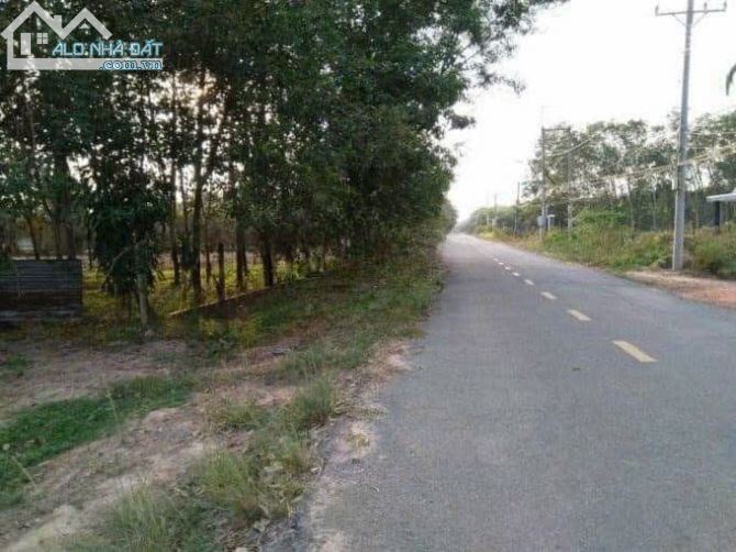 3800593 ảnh đại diện 2