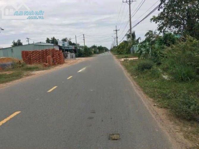 3800593 ảnh đại diện 1