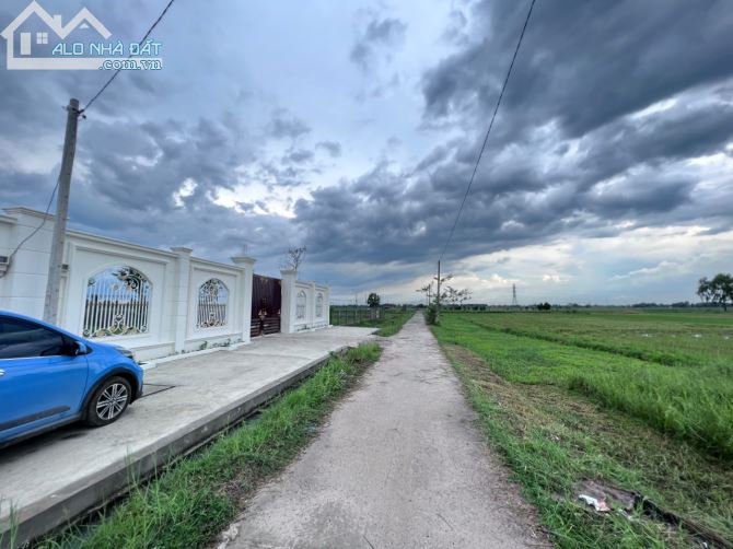 3800597 ảnh đại diện 2
