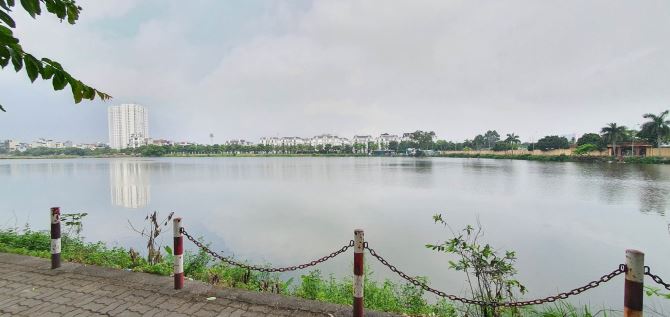 3800984 ảnh đại diện 1