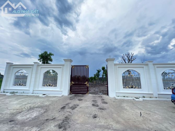 3800597 ảnh đại diện 1