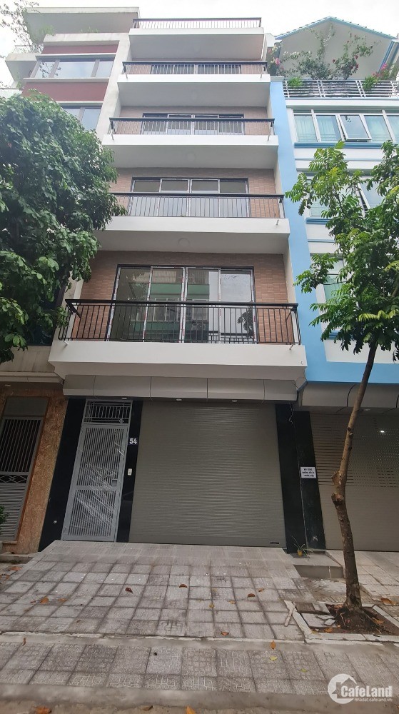 3804280 ảnh đại diện 1