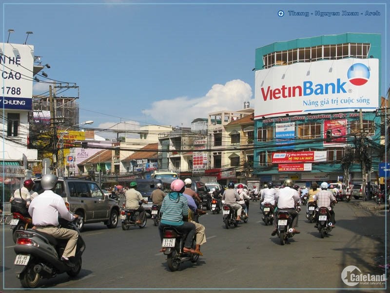 3807632 ảnh đại diện 1