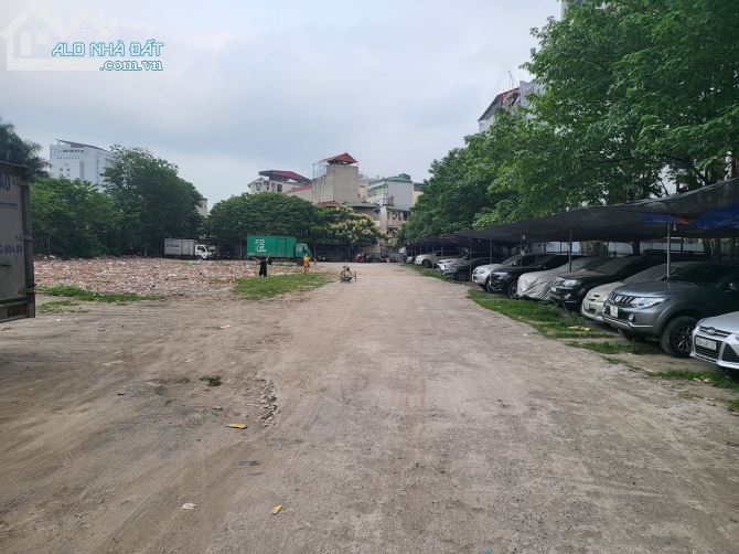 3805224 ảnh đại diện 1