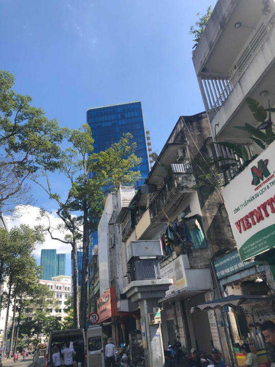 3805624 ảnh đại diện 1
