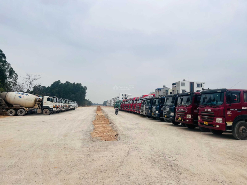3805354 ảnh đại diện 1