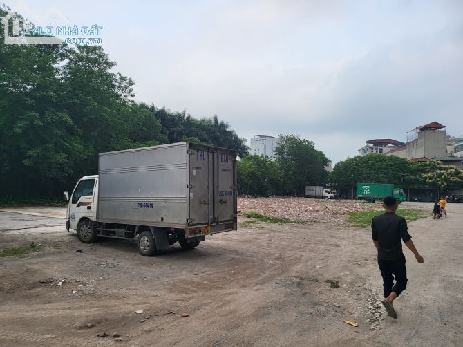 3805224 ảnh đại diện 1
