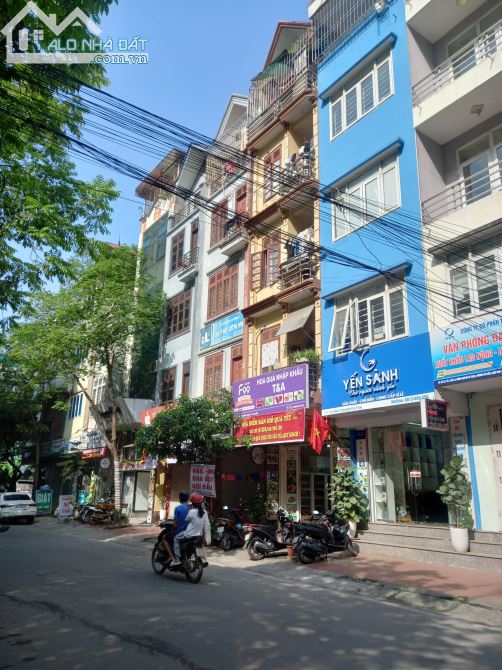 3805794 ảnh đại diện 1