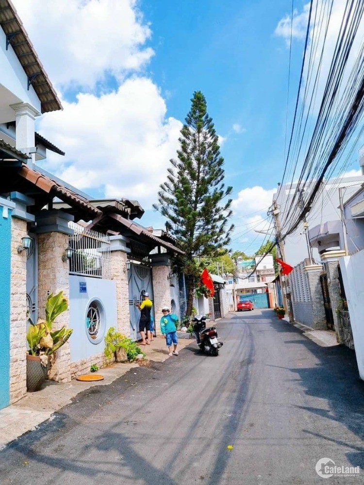 3807115 ảnh đại diện 1