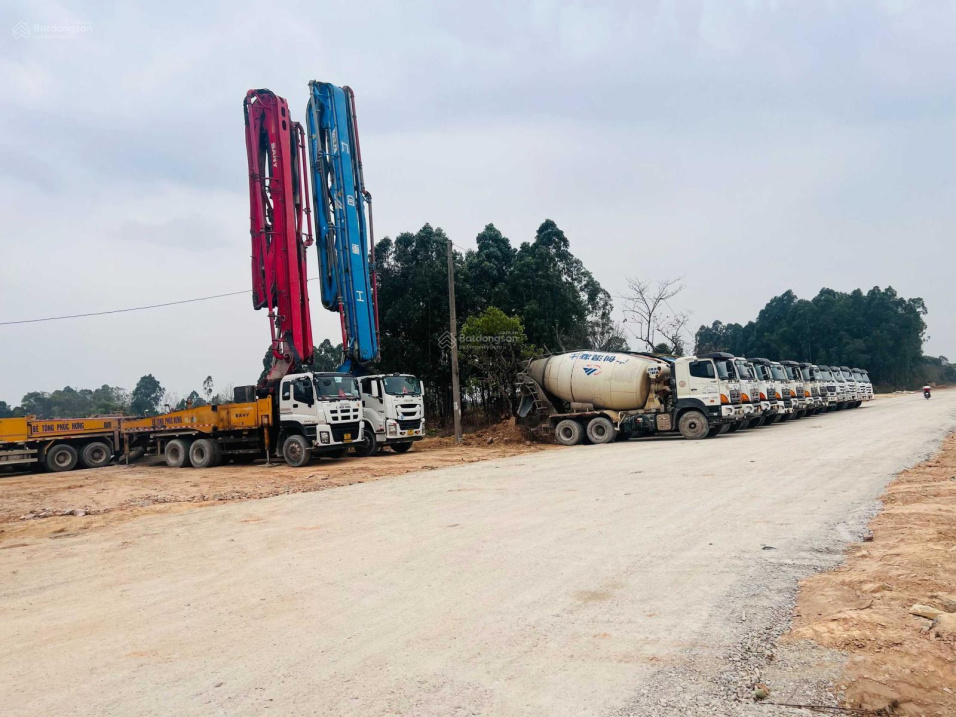3805354 ảnh đại diện 2
