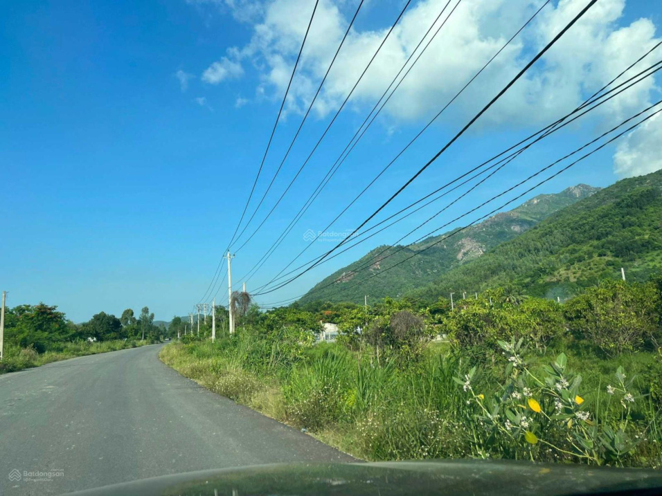 3805519 ảnh đại diện 1