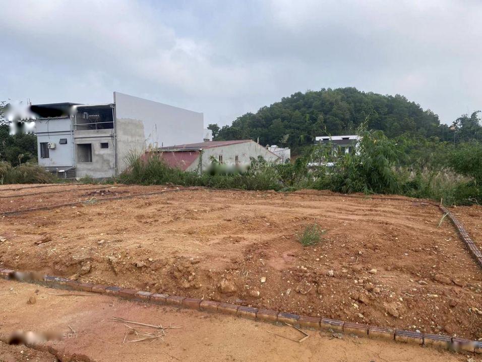 3810402 ảnh đại diện 1