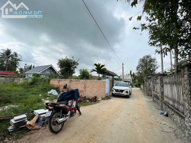 3808888 ảnh đại diện 2