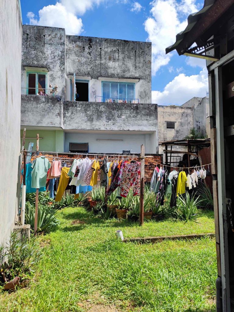 3808086 ảnh đại diện 1