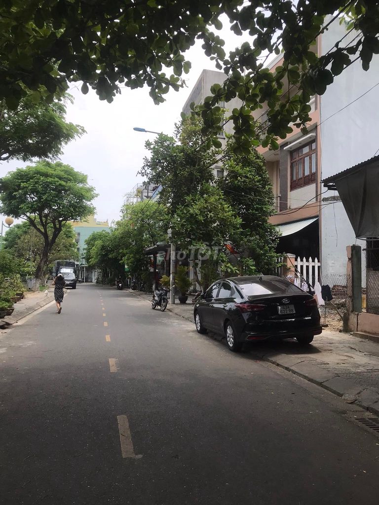 3811305 ảnh đại diện 2
