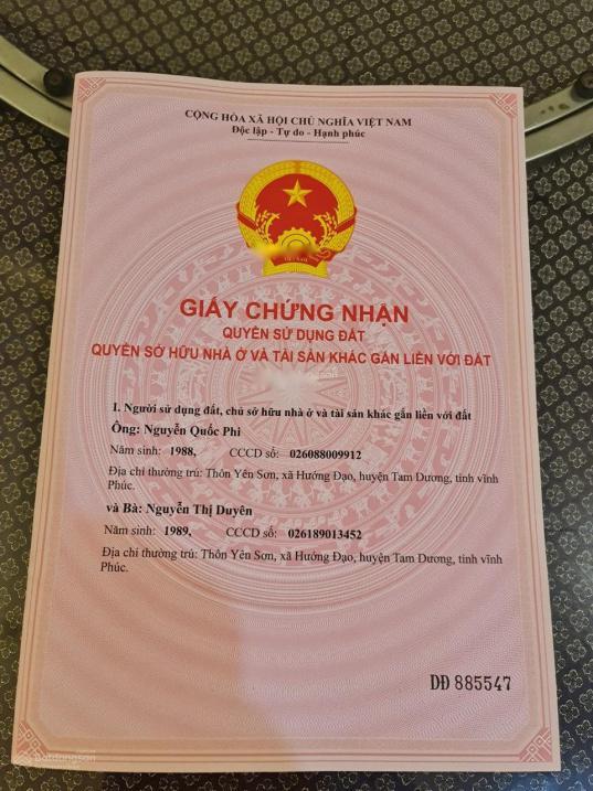 3810402 ảnh đại diện 1