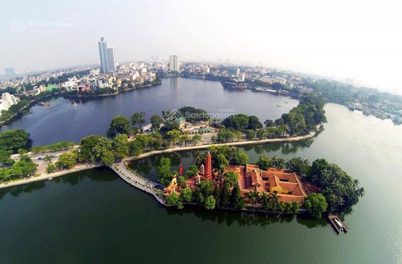 3810870 ảnh đại diện 1