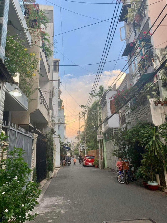3809170 ảnh đại diện 1