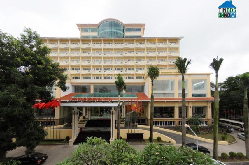 3810870 ảnh đại diện 1