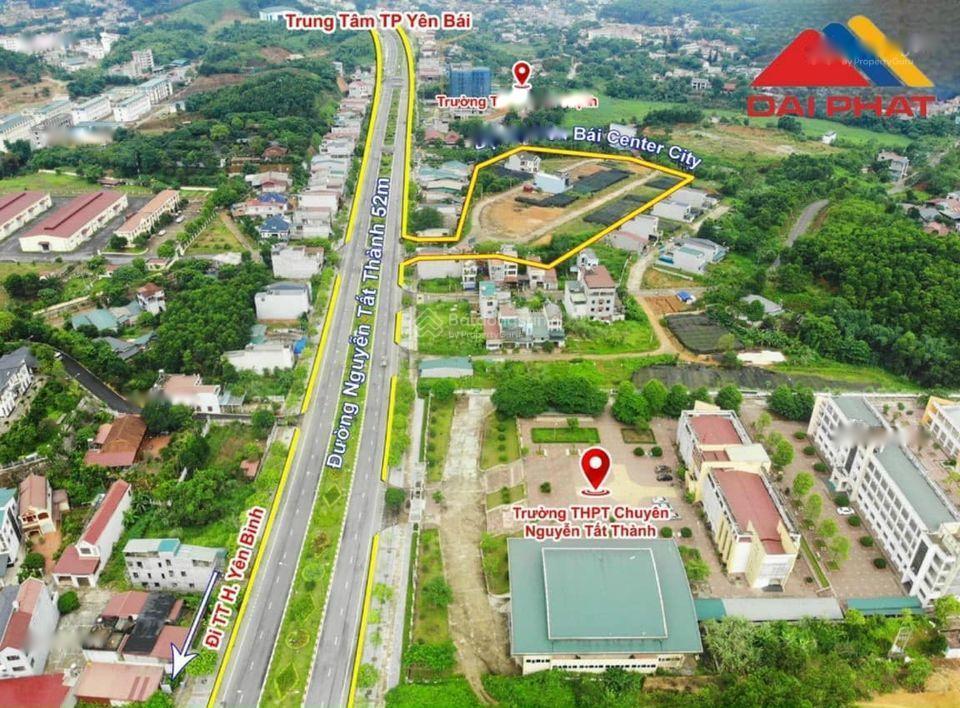3810402 ảnh đại diện 2