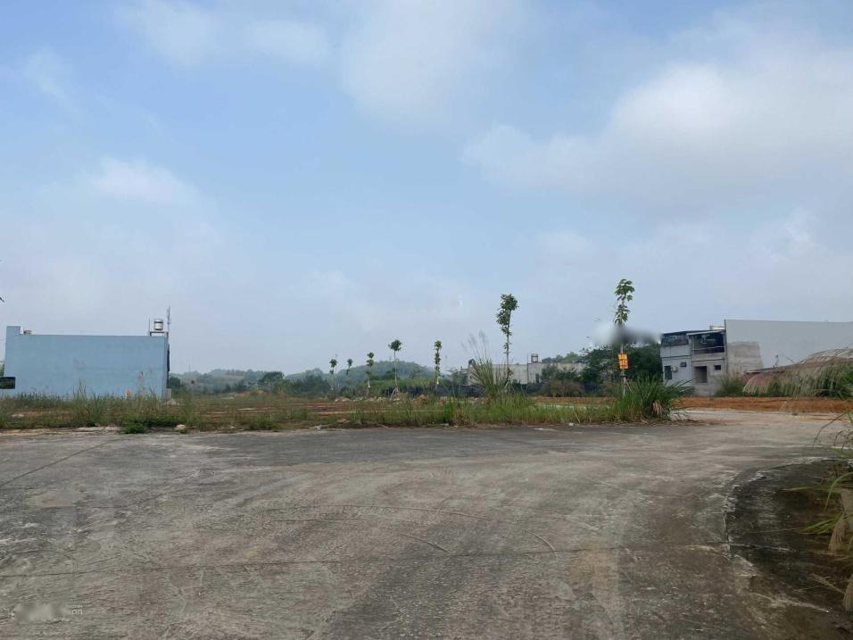 3810407 ảnh đại diện 2