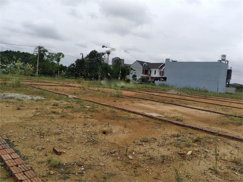 3810403 ảnh đại diện 1
