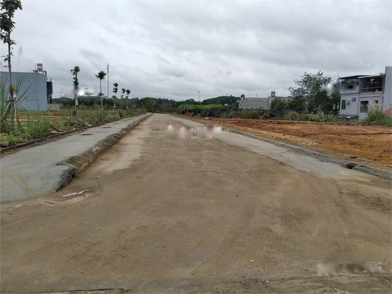 3810403 ảnh đại diện 1